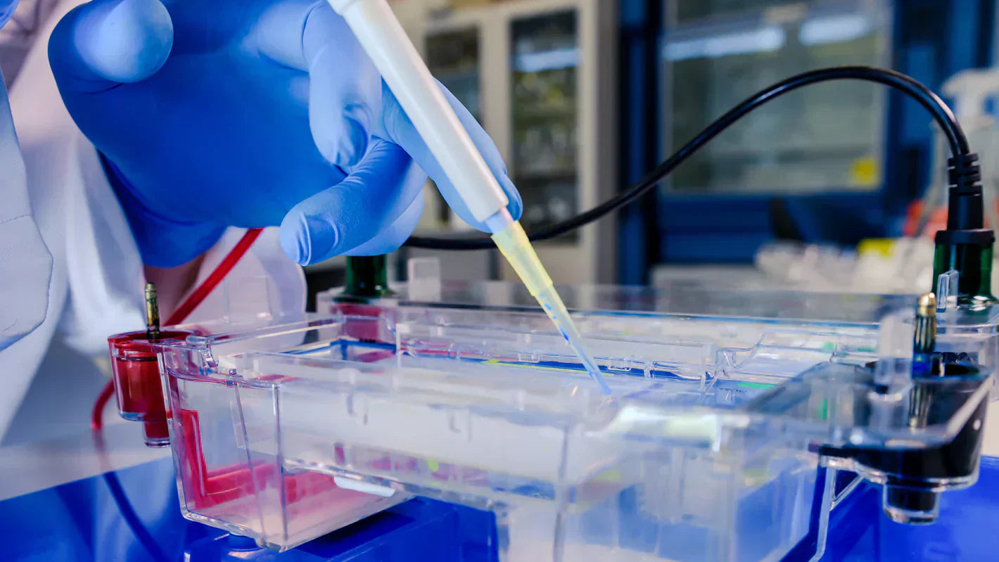 Advanced Labs & Diagnostics: The Foundation of Personalized Health